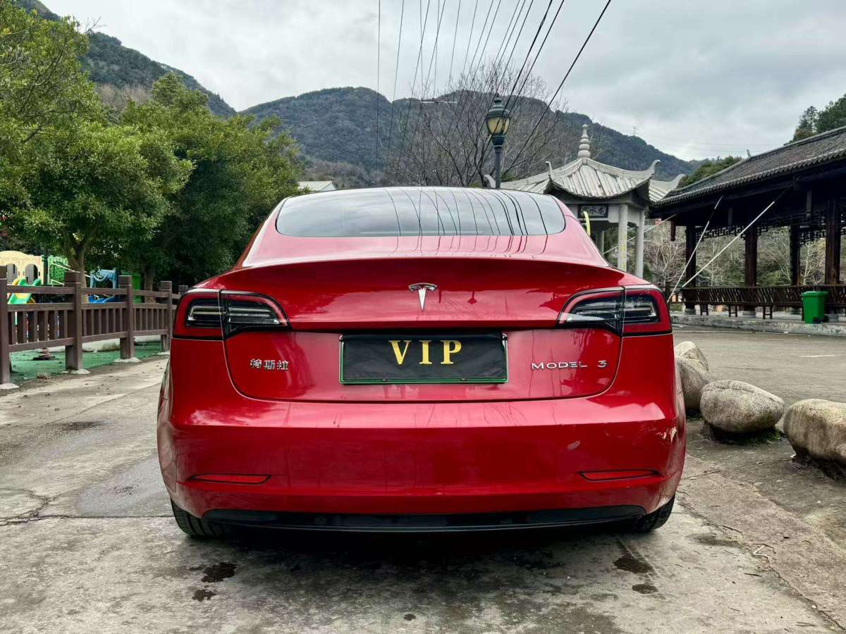 特斯拉 Model 3  2021款 標準續(xù)航后驅(qū)升級版 3D6圖片