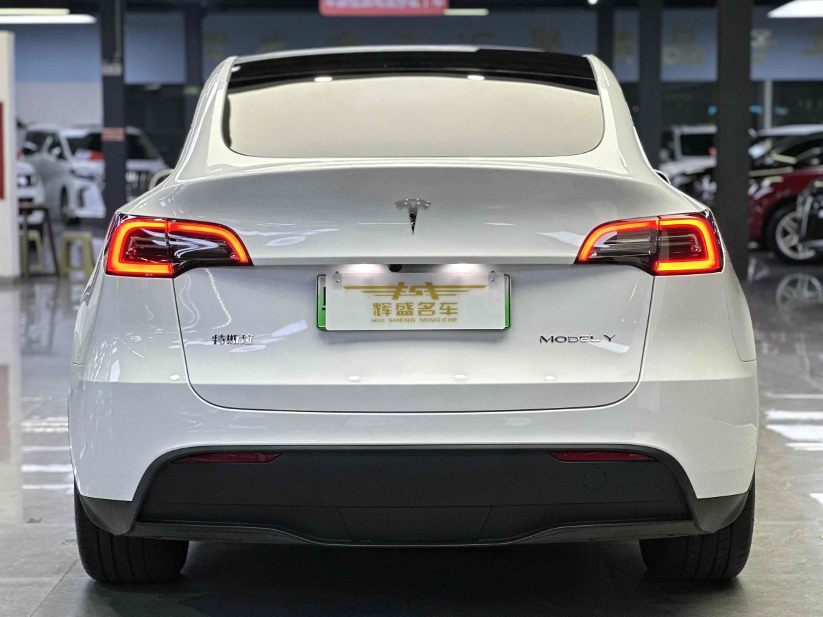 特斯拉 Model 3  2020款 改款 長續(xù)航后輪驅(qū)動版圖片