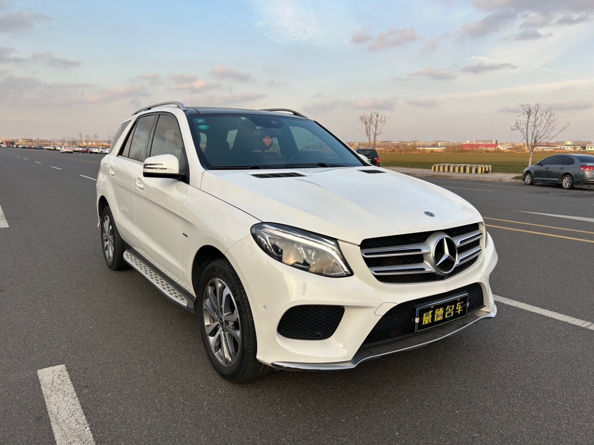 奔馳 奔馳GLE  2018款 GLE 320 4MATIC 動感型臻藏版圖片