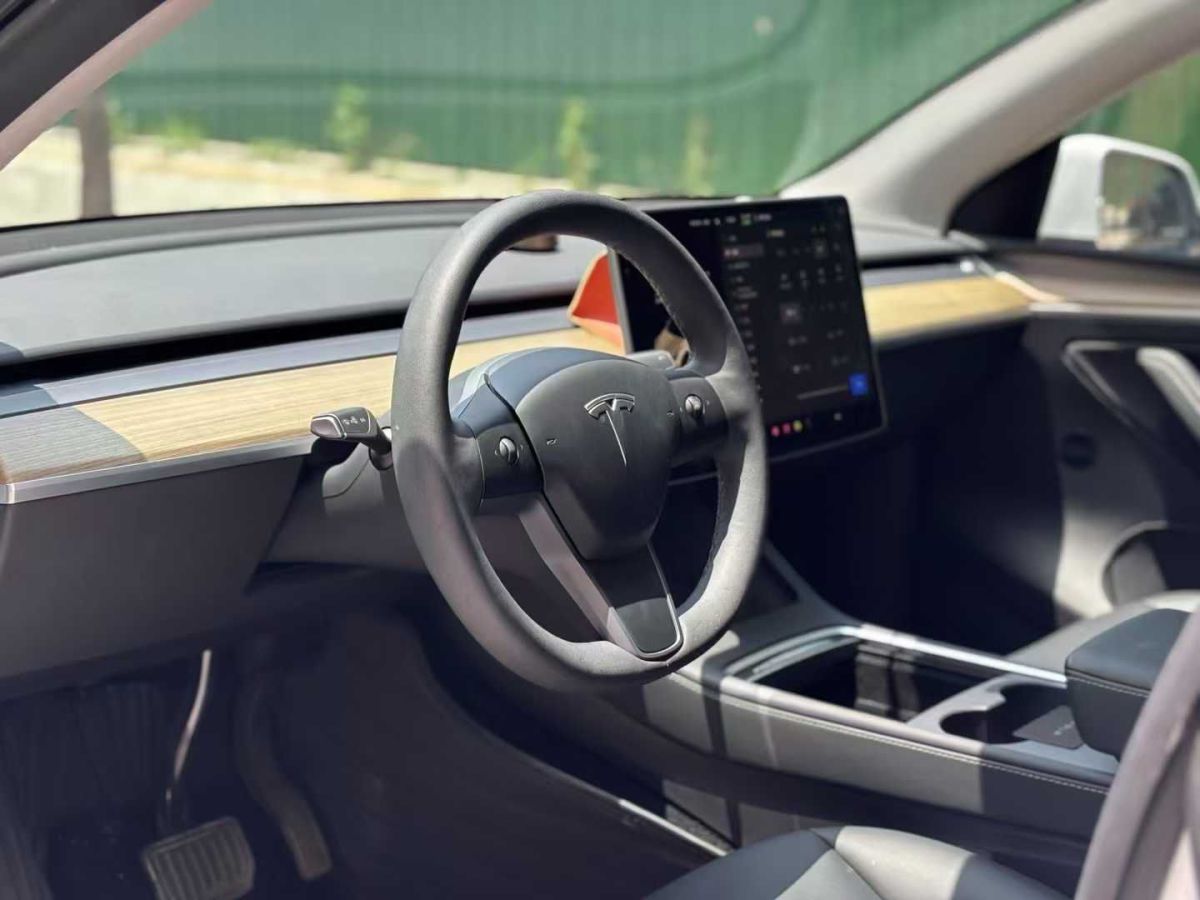 特斯拉 Model S  2023款 三電機(jī)全輪驅(qū)動(dòng) Plaid版圖片