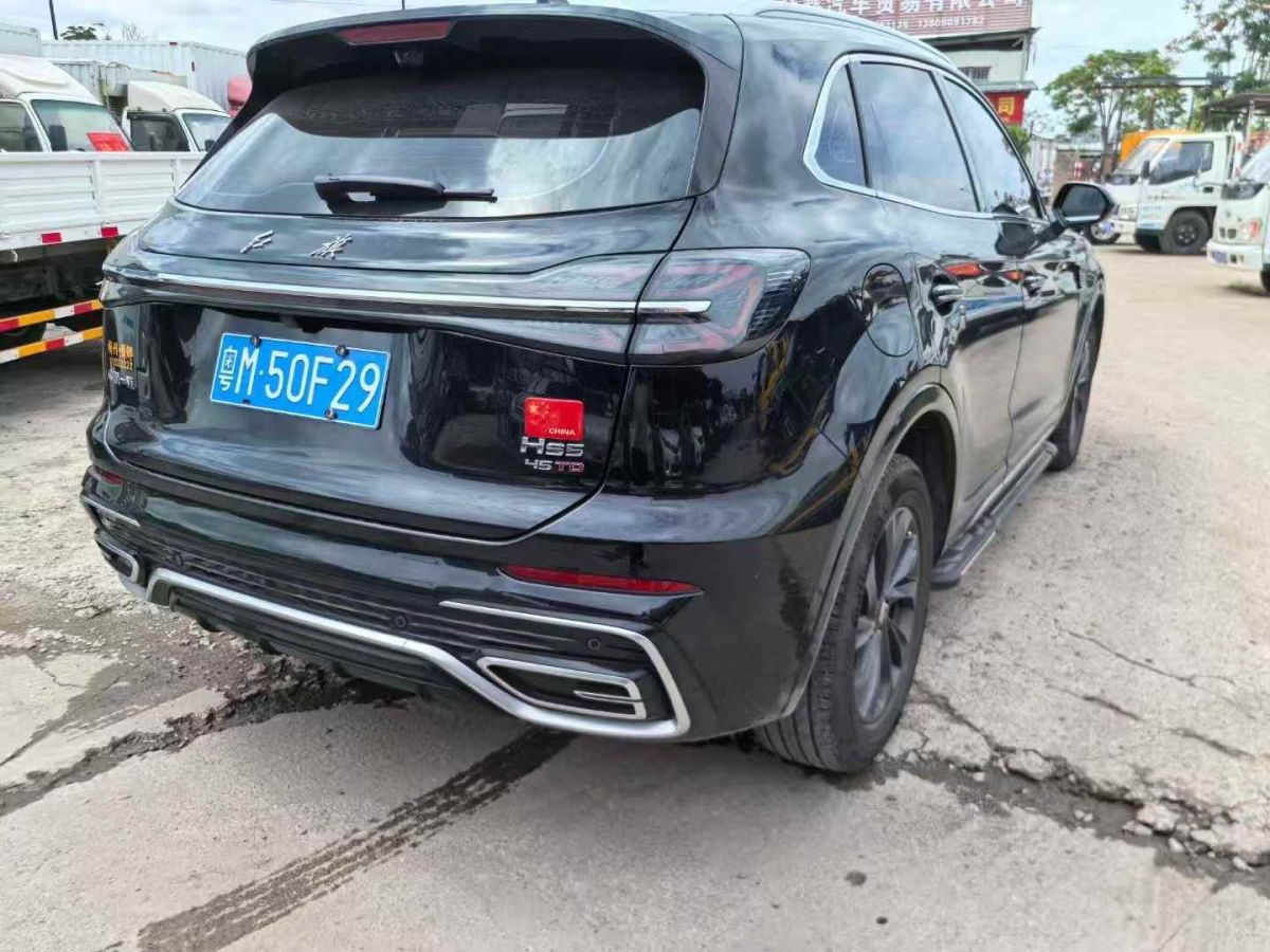 紅旗 紅旗國(guó)雅  2024款 3.0T V6版圖片
