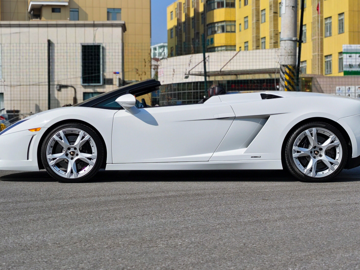 2011年1月蘭博基尼 Gallardo  2009款 LP 560-4 Spyder