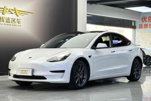 Model 3 特斯拉 后輪驅(qū)動(dòng)版