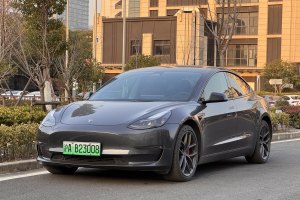 Model 3 特斯拉 Performance高性能全輪驅(qū)動(dòng)版