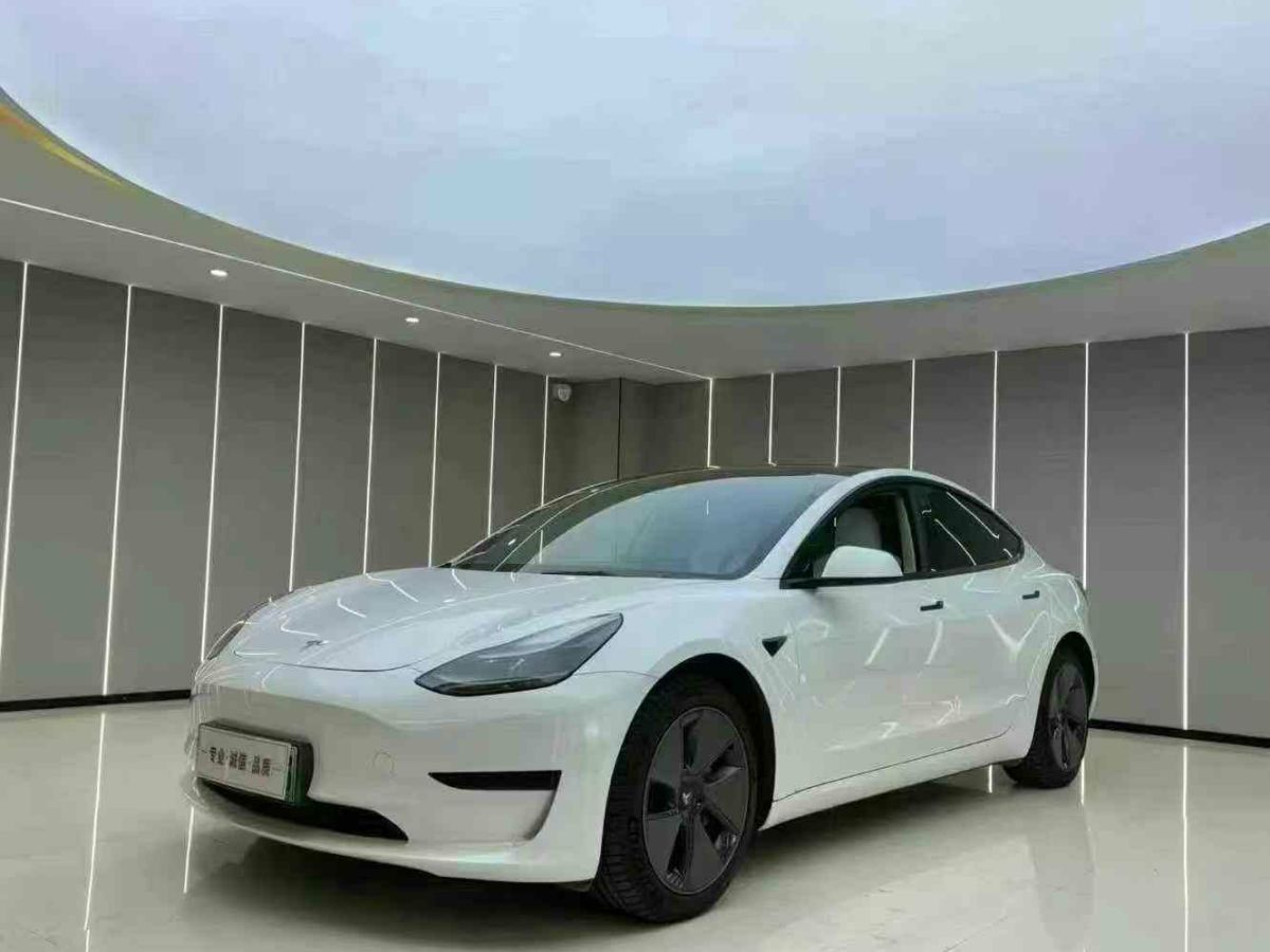 2022年9月特斯拉 Model Y  2022款 Performance高性能全輪驅(qū)動版