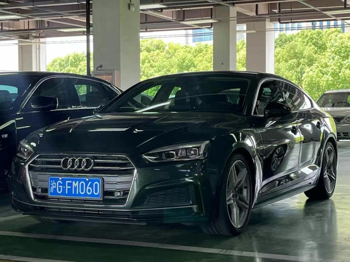 奧迪 奧迪Q5  2018款 典藏版 40 TFSI 技術(shù)型圖片