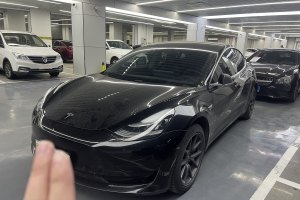 Model 3 特斯拉 标准续航后驱升级版