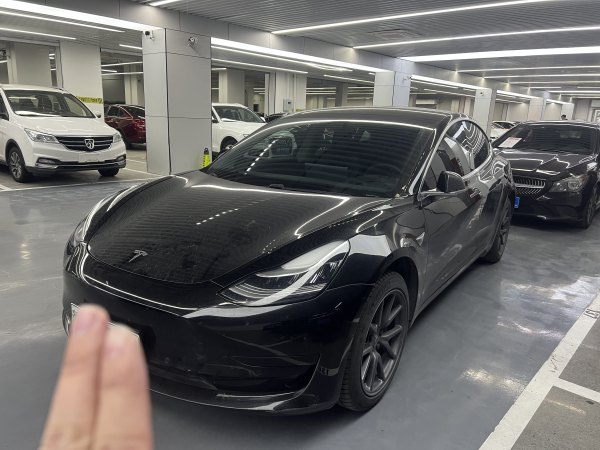 特斯拉 Model 3  2019款 标准续航后驱升级版