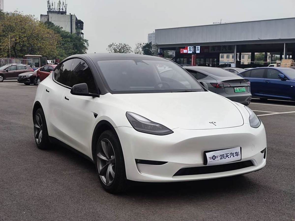 特斯拉 Model Y  2022款 改款 長(zhǎng)續(xù)航全輪驅(qū)動(dòng)版圖片