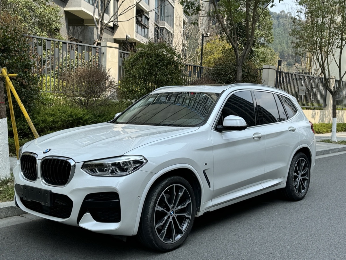 2021年2月寶馬 寶馬X3  2020款 xDrive30i 領(lǐng)先型 M運(yùn)動(dòng)套裝