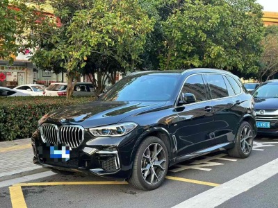 2022年08月 寶馬 寶馬X5 xDrive 40Li M運(yùn)動(dòng)套裝圖片