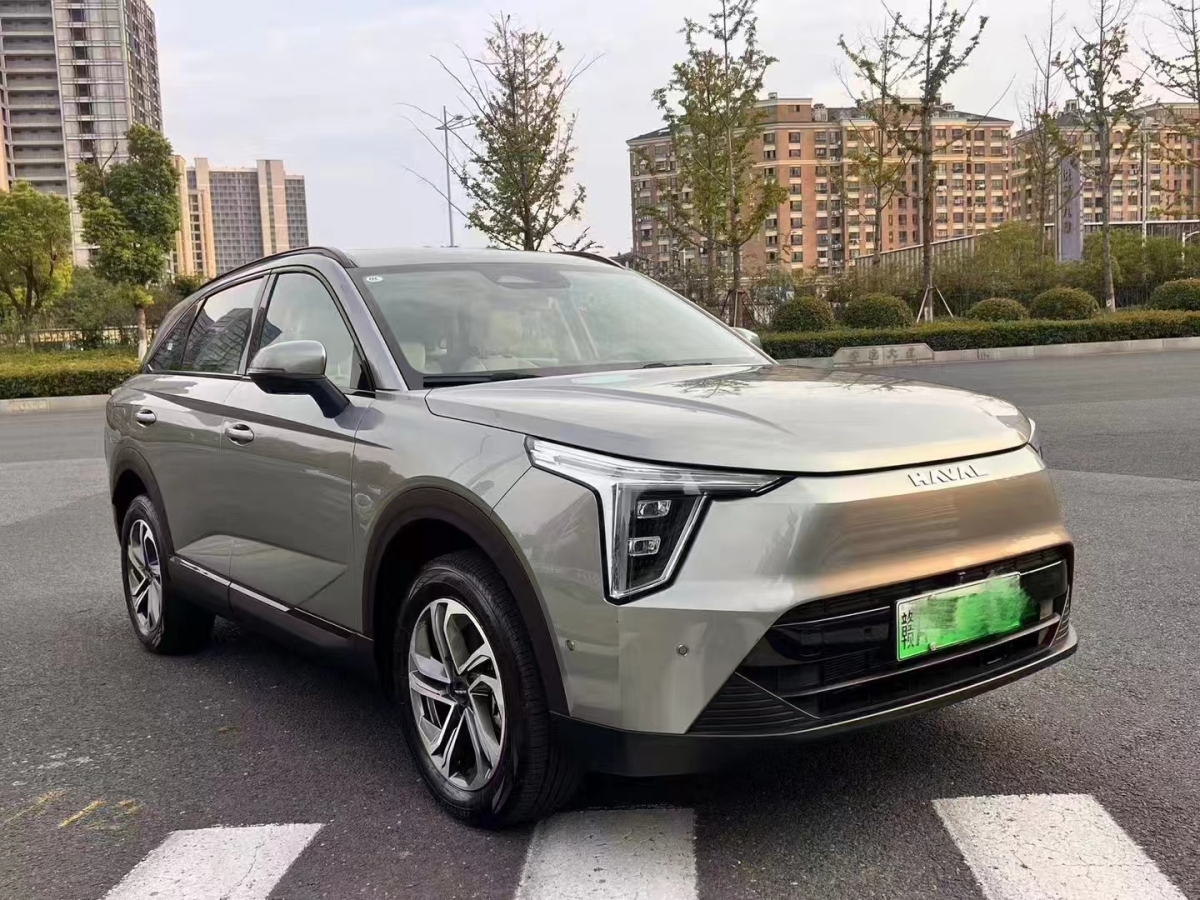 哈弗 哈弗梟龍  2023款 1.5L 110KM領(lǐng)航版圖片