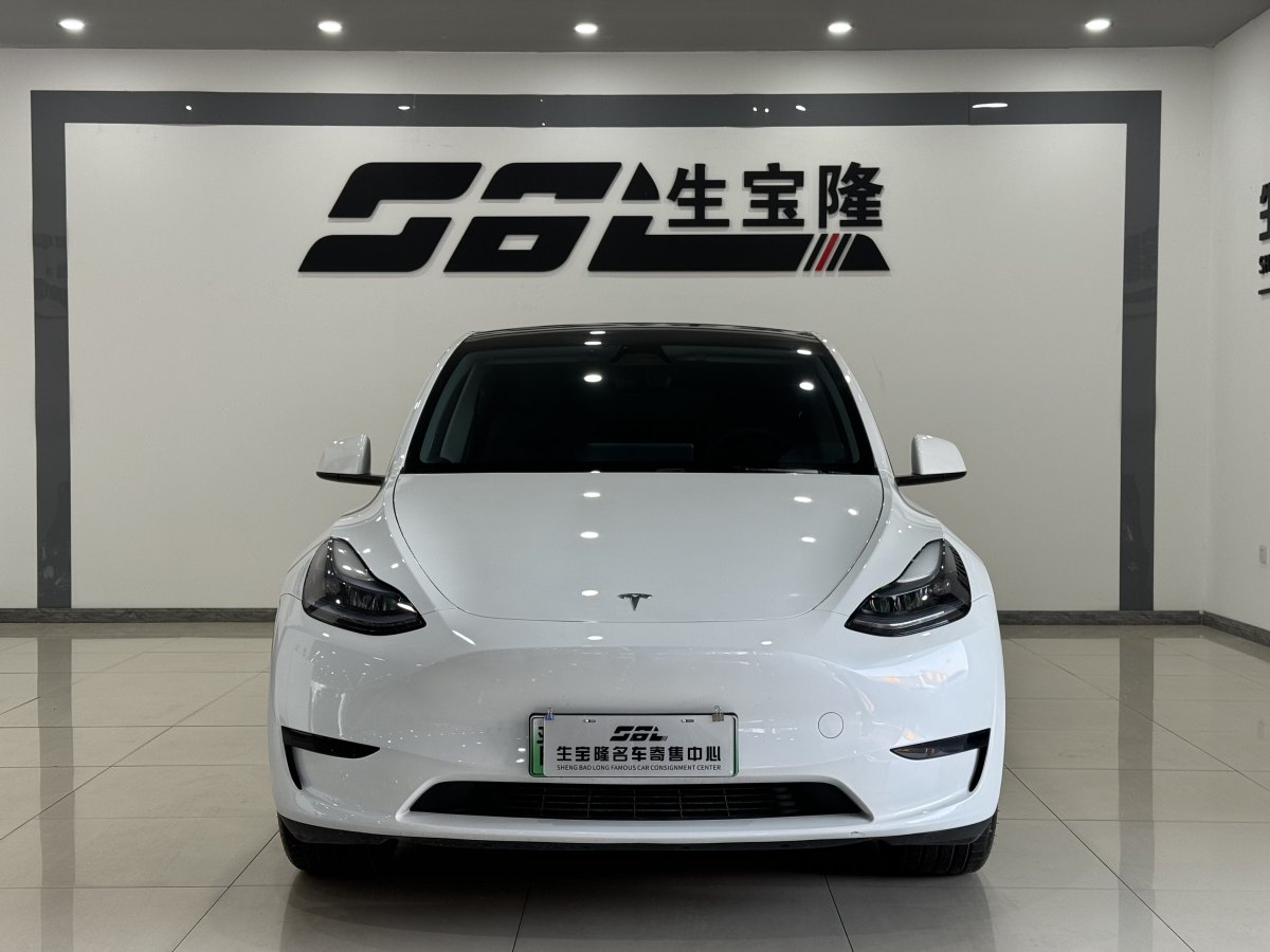 特斯拉 Model Y  2020款 改款 長(zhǎng)續(xù)航后輪驅(qū)動(dòng)版圖片