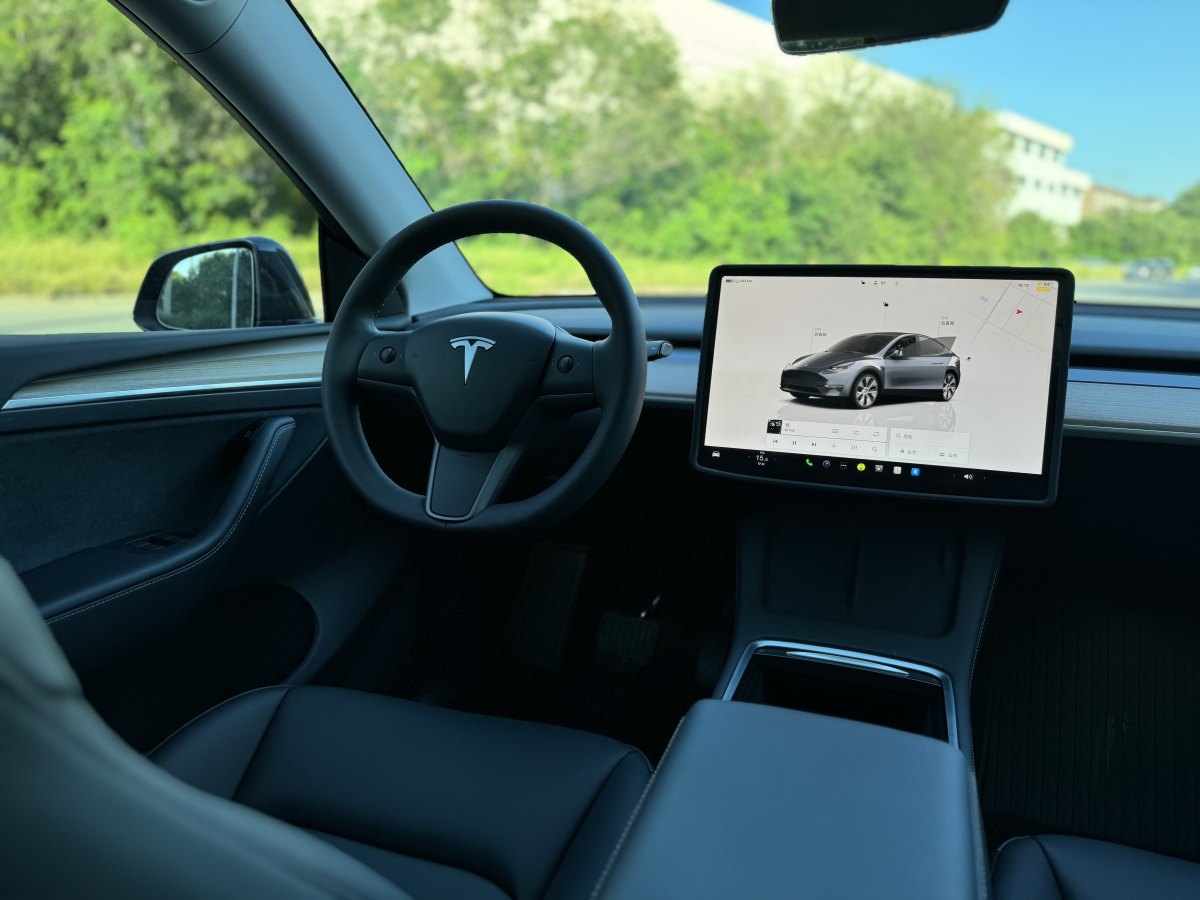 特斯拉 Model Y  2021款 改款 Performance高性能全轮驱动版图片