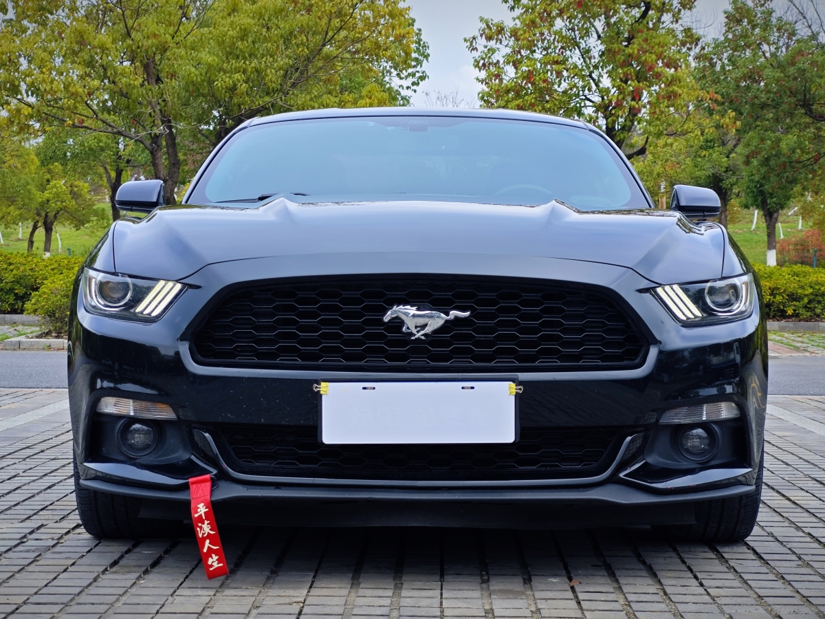 福特 Mustang  2017款 2.3T 性能版圖片