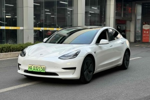 Model 3 特斯拉 標(biāo)準(zhǔn)續(xù)航后驅(qū)升級版