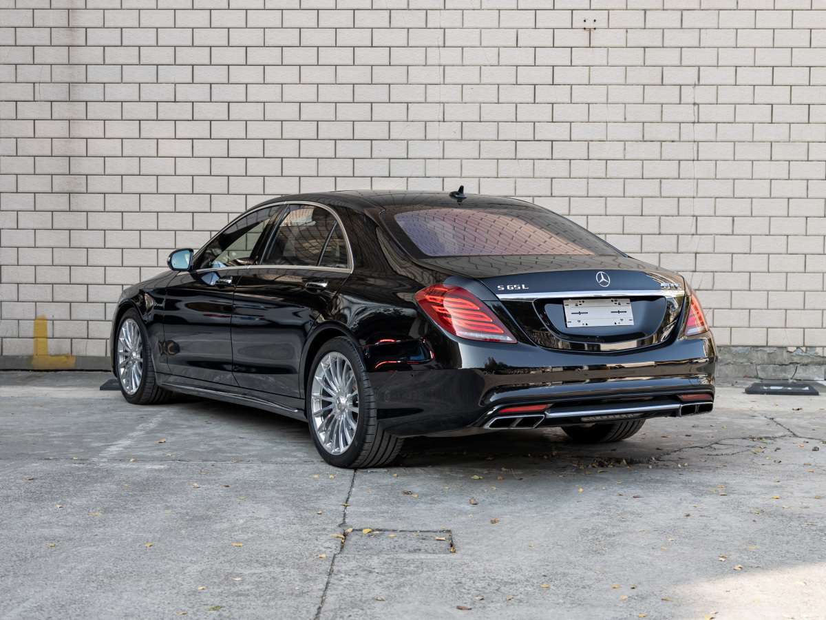 奔馳 奔馳S級(jí)AMG  2014款 AMG S 65 L圖片