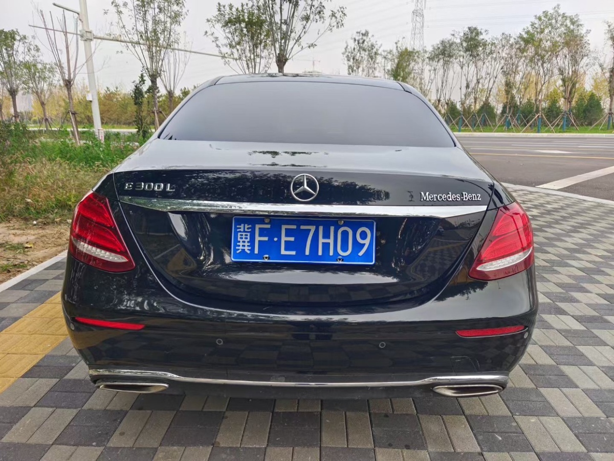 奔馳 奔馳E級  2019款 E 300 L 豪華型圖片