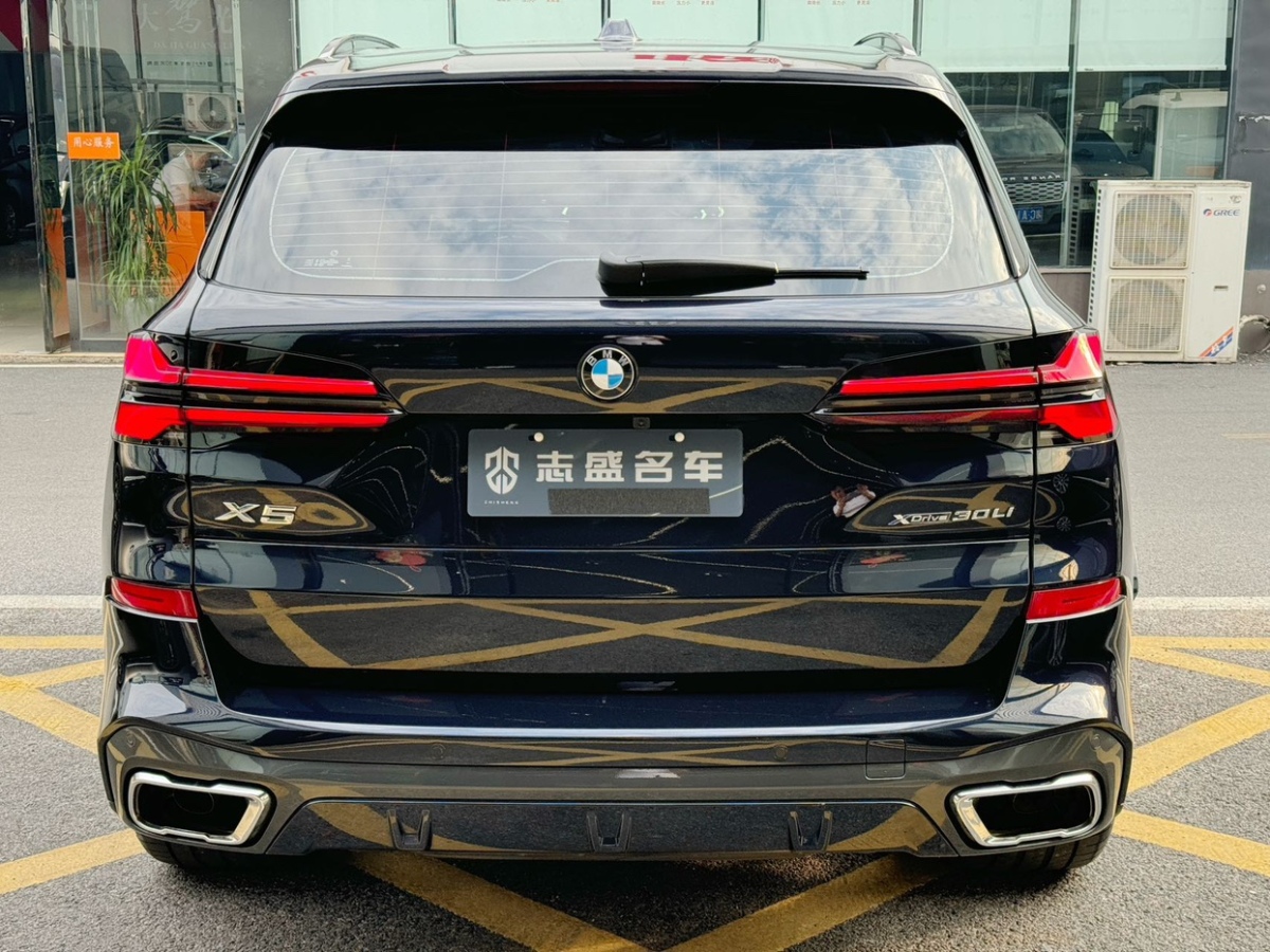 寶馬 寶馬X5  2023款 xDrive 30Li 尊享型M運(yùn)動(dòng)套裝圖片