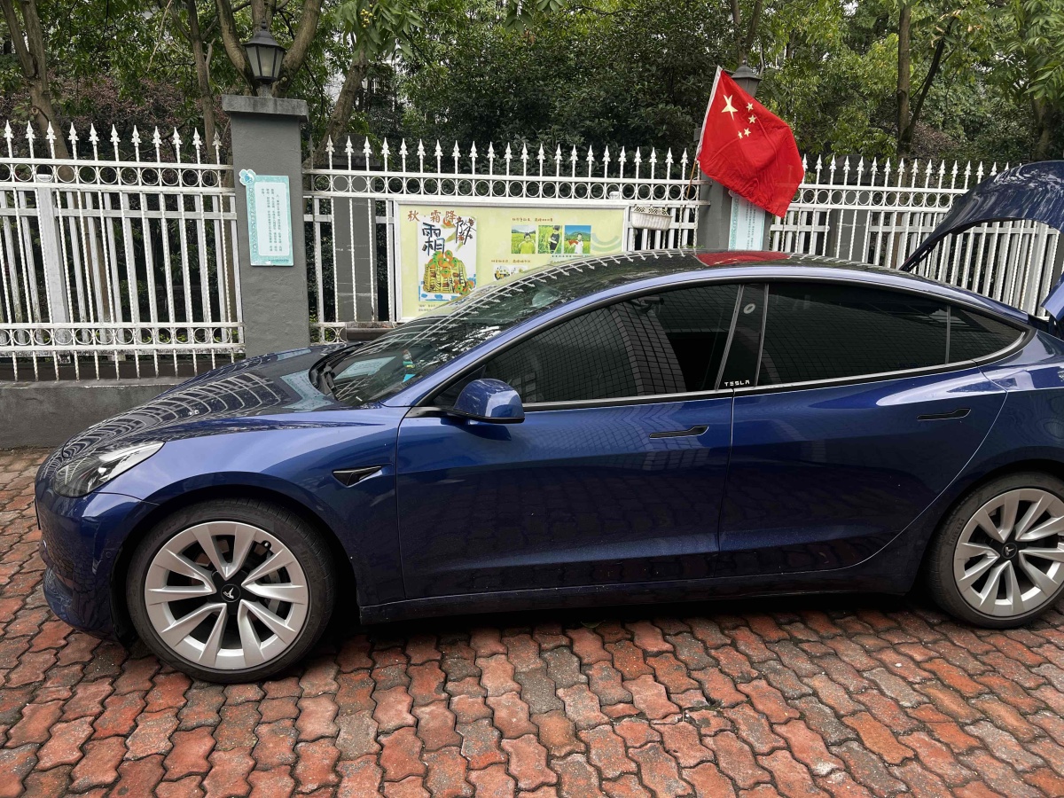 特斯拉 Model 3  2019款 標準續(xù)航后驅(qū)升級版圖片