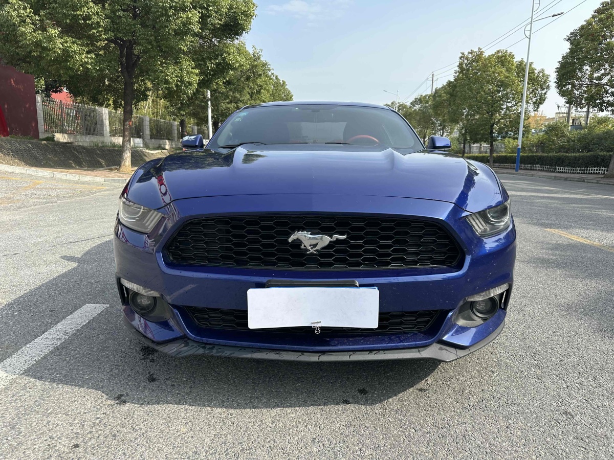 福特 Mustang  2015款 2.3T 性能版圖片