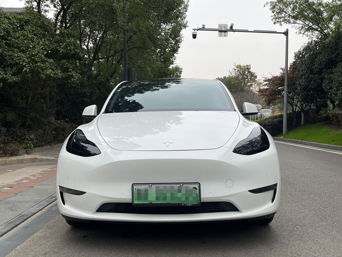 特斯拉 Model 3  2021款 改款 Performance高性能全輪驅(qū)動(dòng)版圖片