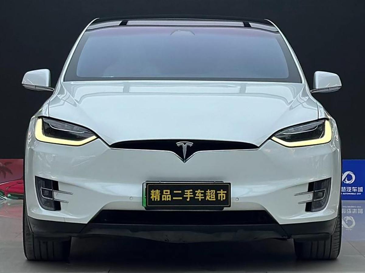 特斯拉 Model X  2017款 Model X 100D 長續(xù)航版圖片