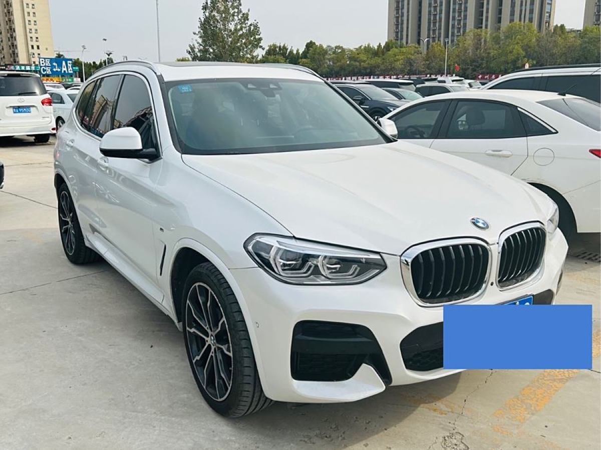 2019年11月寶馬 寶馬X3  2019款  xDrive30i 領(lǐng)先型 M運(yùn)動套裝