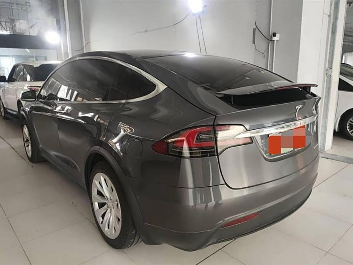 2019年11月特斯拉 Model X  2019款 長續(xù)航版