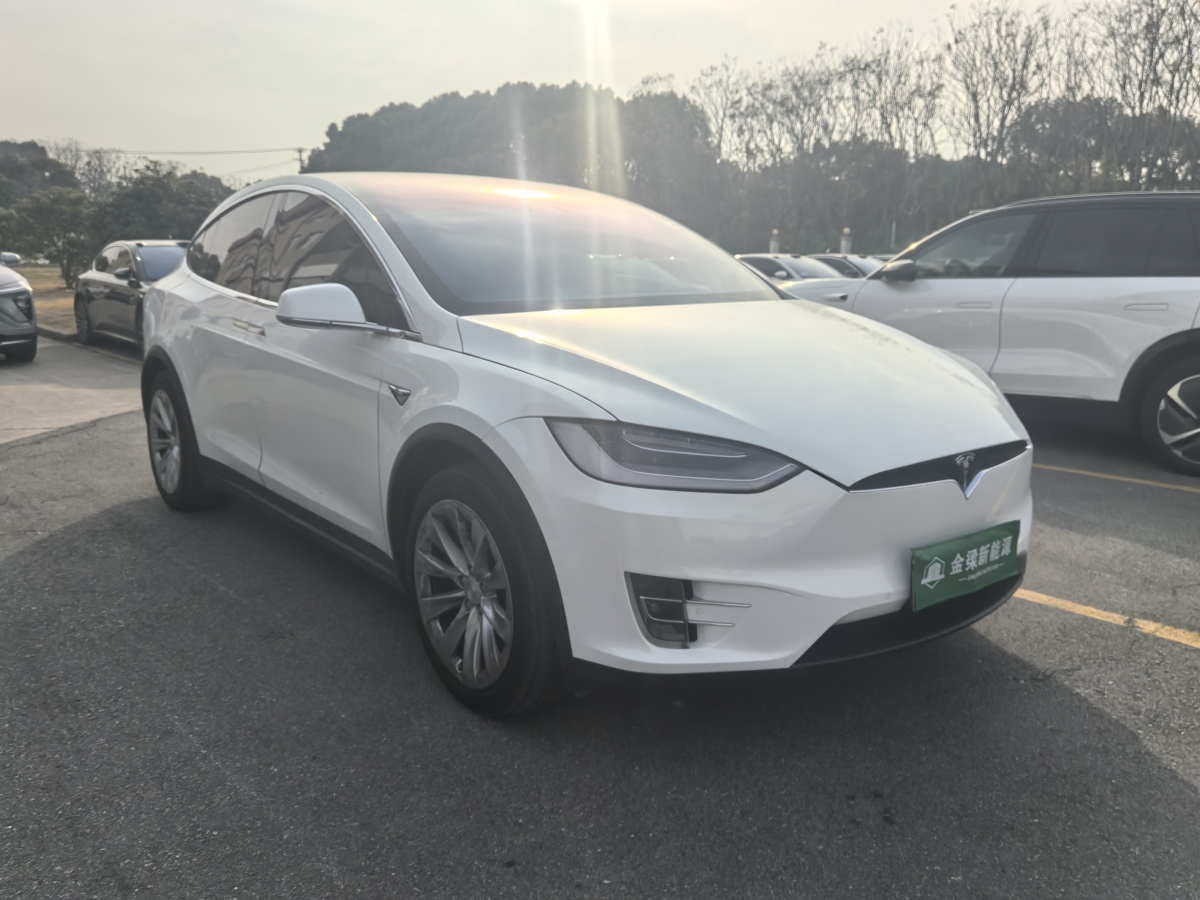 特斯拉 Model X  2019款 長續(xù)航版圖片