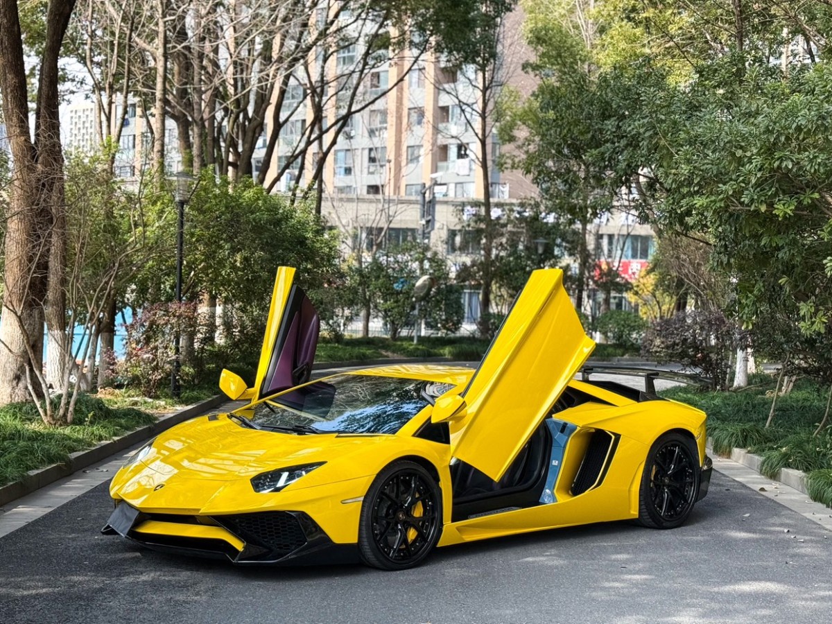 蘭博基尼 Aventador  2013款 LP 700-4 Roadster圖片