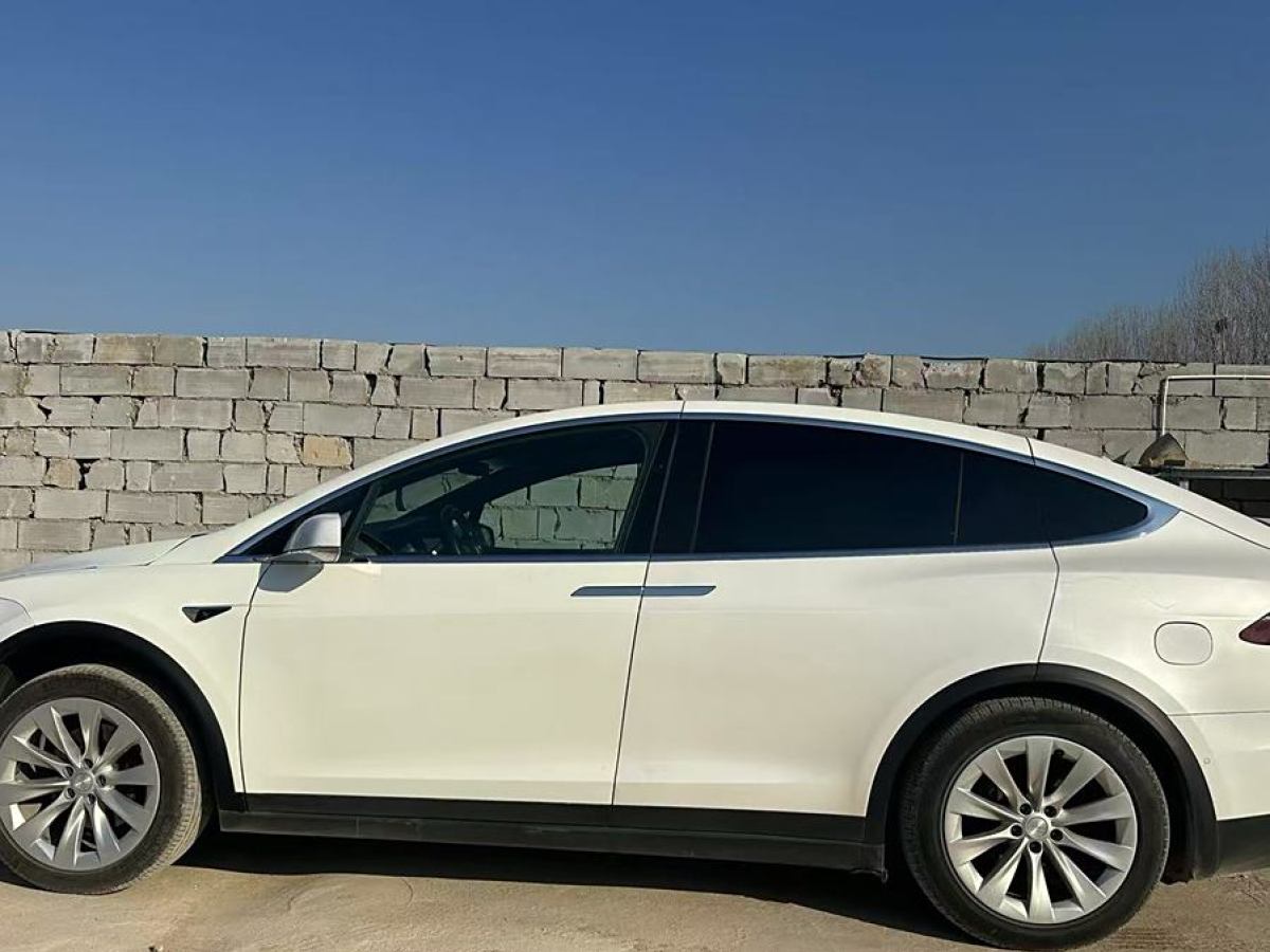 特斯拉 Model X  2019款 長續(xù)航版圖片