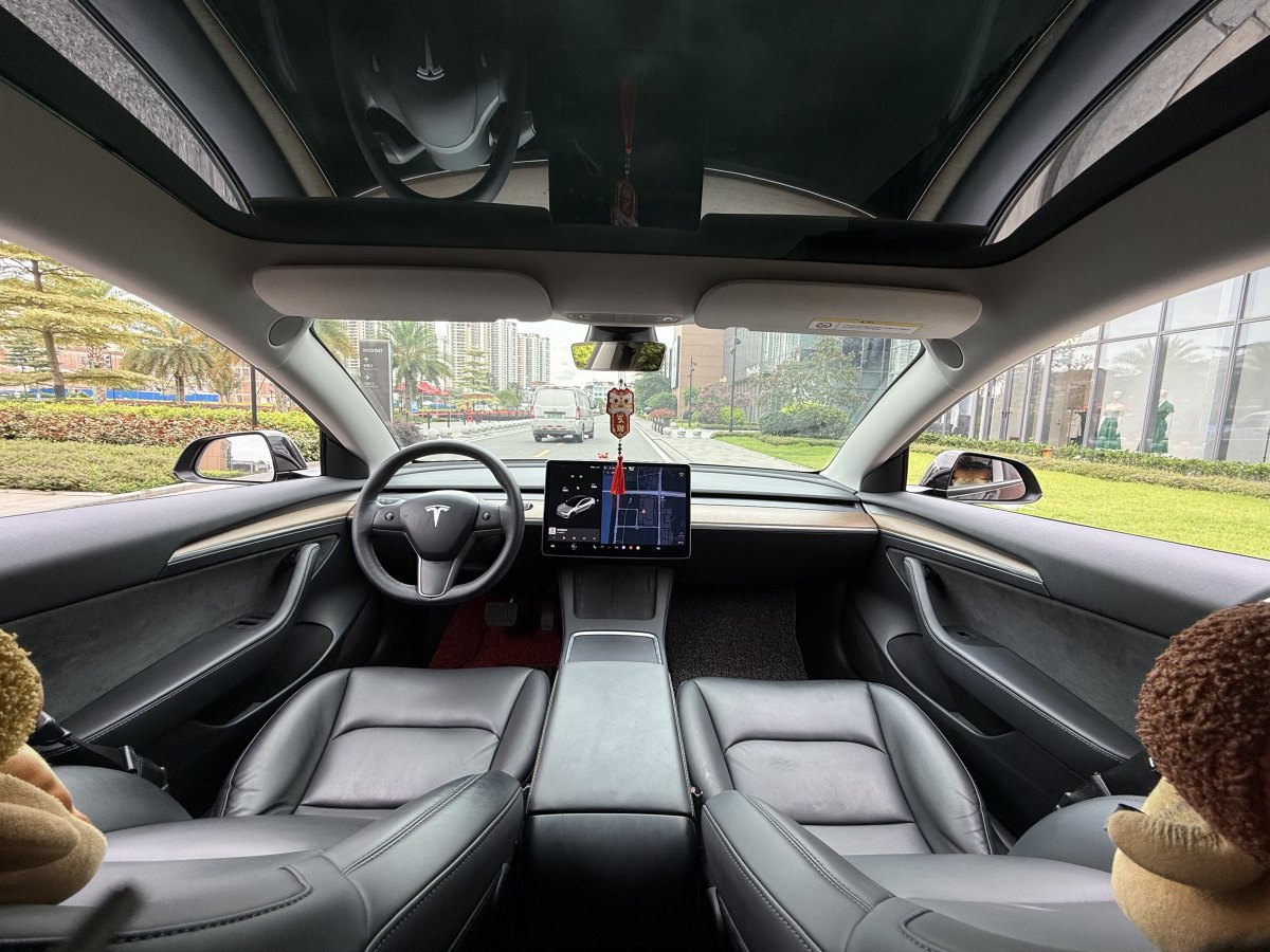 特斯拉 Model 3  2021款 標(biāo)準(zhǔn)續(xù)航后驅(qū)升級版 3D6圖片