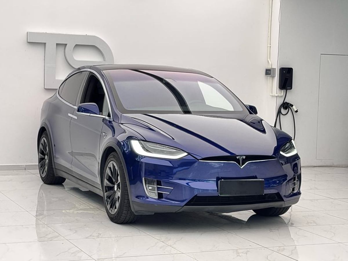 特斯拉 Model X  2019款 長續(xù)航版圖片