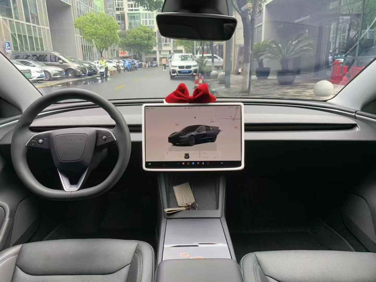 特斯拉 Model Y  2024款 Performance高性能版圖片
