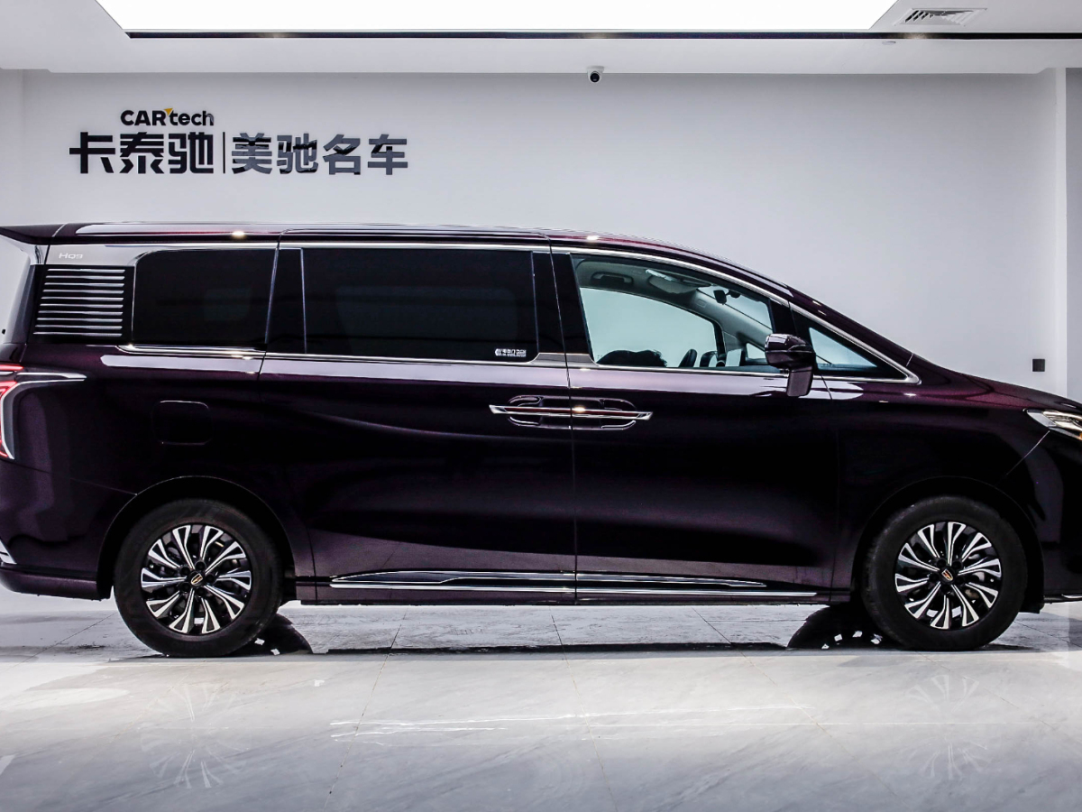 紅旗HQ9 PHEV 2024款 2.0T 四驅(qū)商務(wù)版圖片