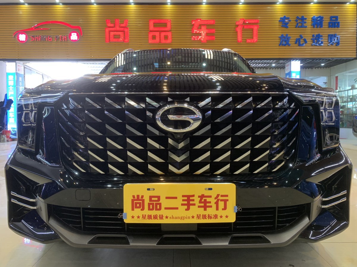 廣汽傳祺 GS8  2022款 雙擎系列 2.0TM 四驅(qū)尊貴版 （七座）圖片