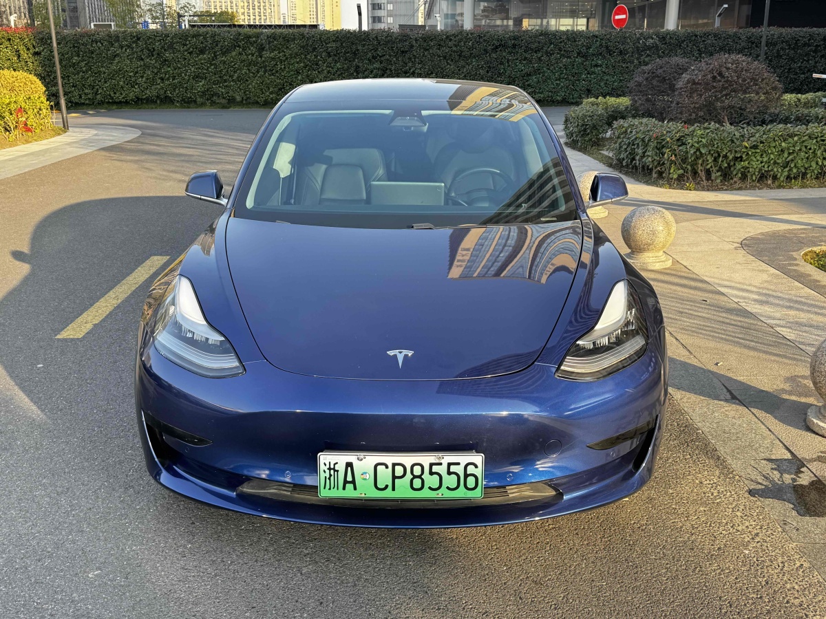 特斯拉 Model 3  2019款 標(biāo)準(zhǔn)續(xù)航后驅(qū)升級版圖片