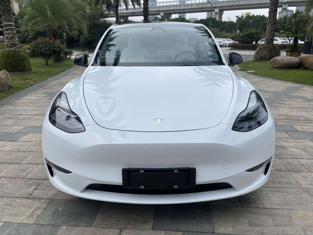 特斯拉 Model Y  2022款 Performance高性能全輪驅(qū)動(dòng)版圖片