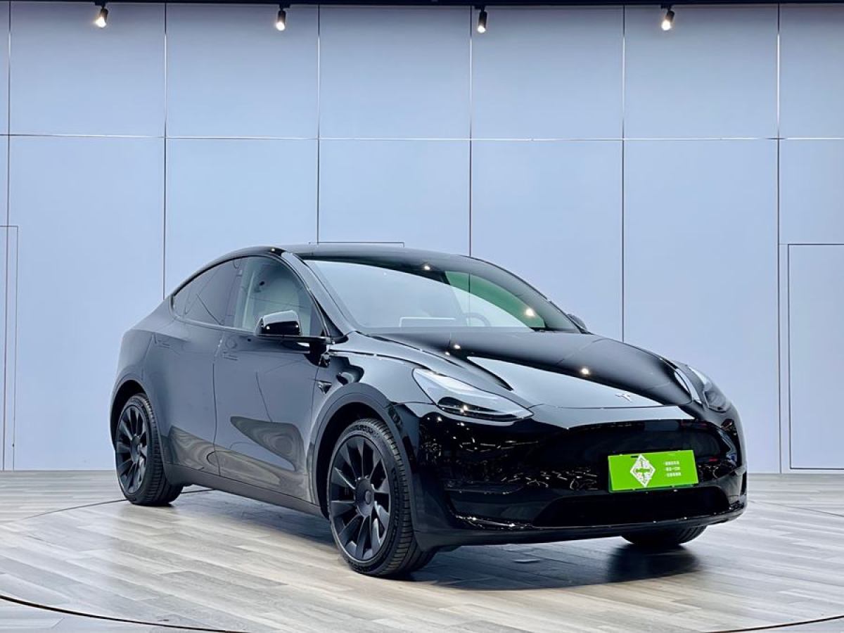 特斯拉 Model Y  2022款 改款 長(zhǎng)續(xù)航全輪驅(qū)動(dòng)版圖片