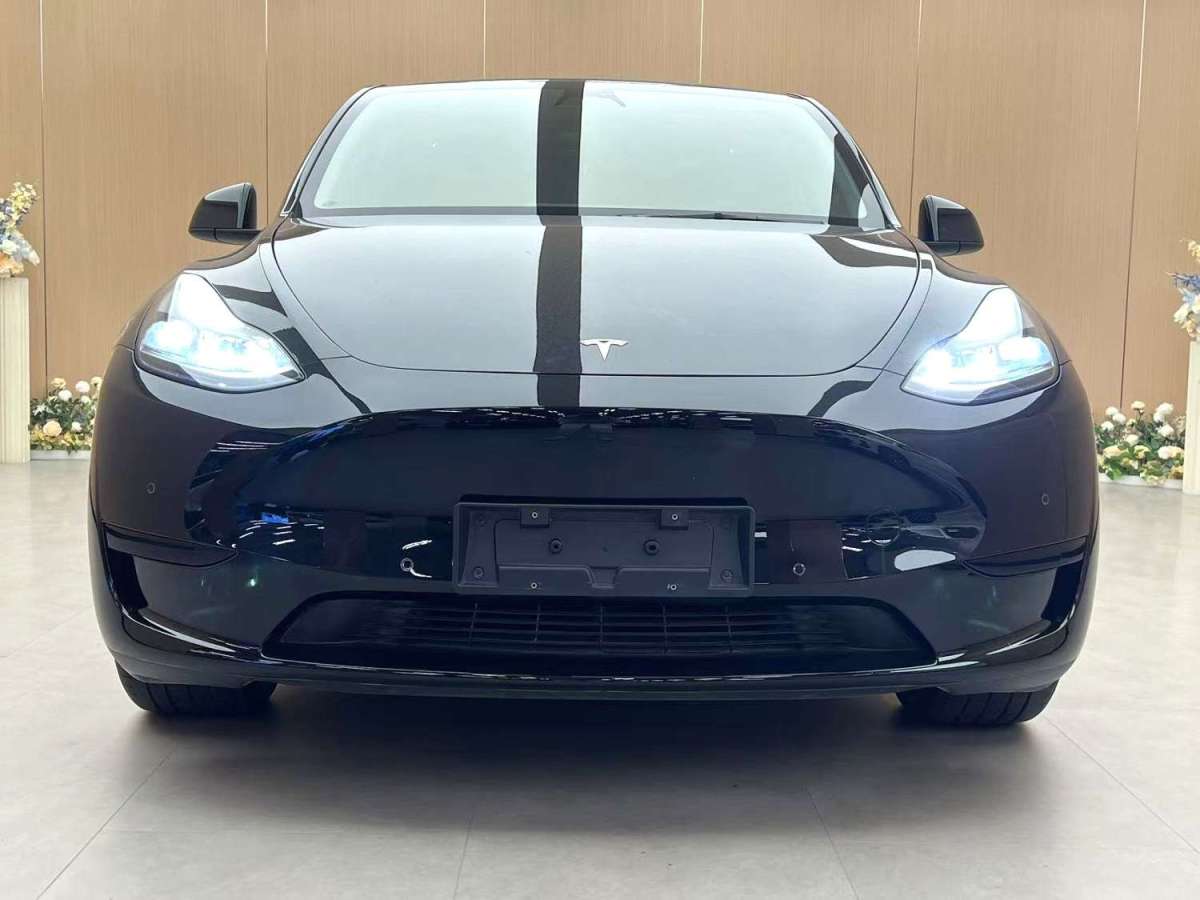 特斯拉 Model Y  2023款 后輪驅(qū)動(dòng)版圖片