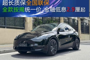 Model Y 特斯拉 長續(xù)航全輪驅動版