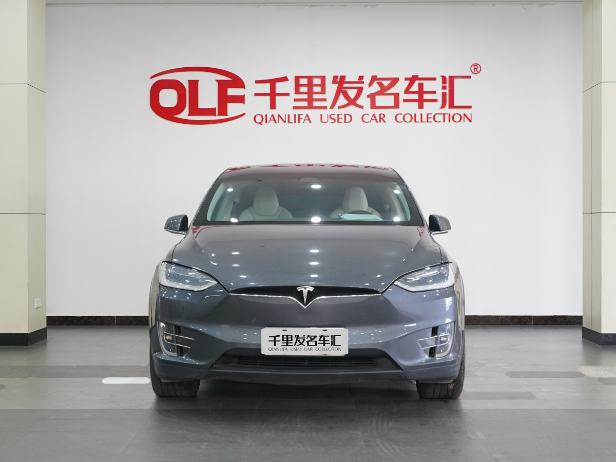 特斯拉 Model X  2017款 Model X 100D 长续航版图片