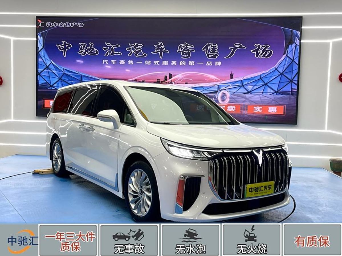 嵐圖 夢想家  2024款 PHEV 超長續(xù)航卓越版圖片