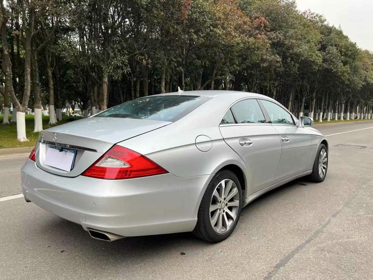 奔馳 奔馳CLS級  2009款 CLS 300圖片