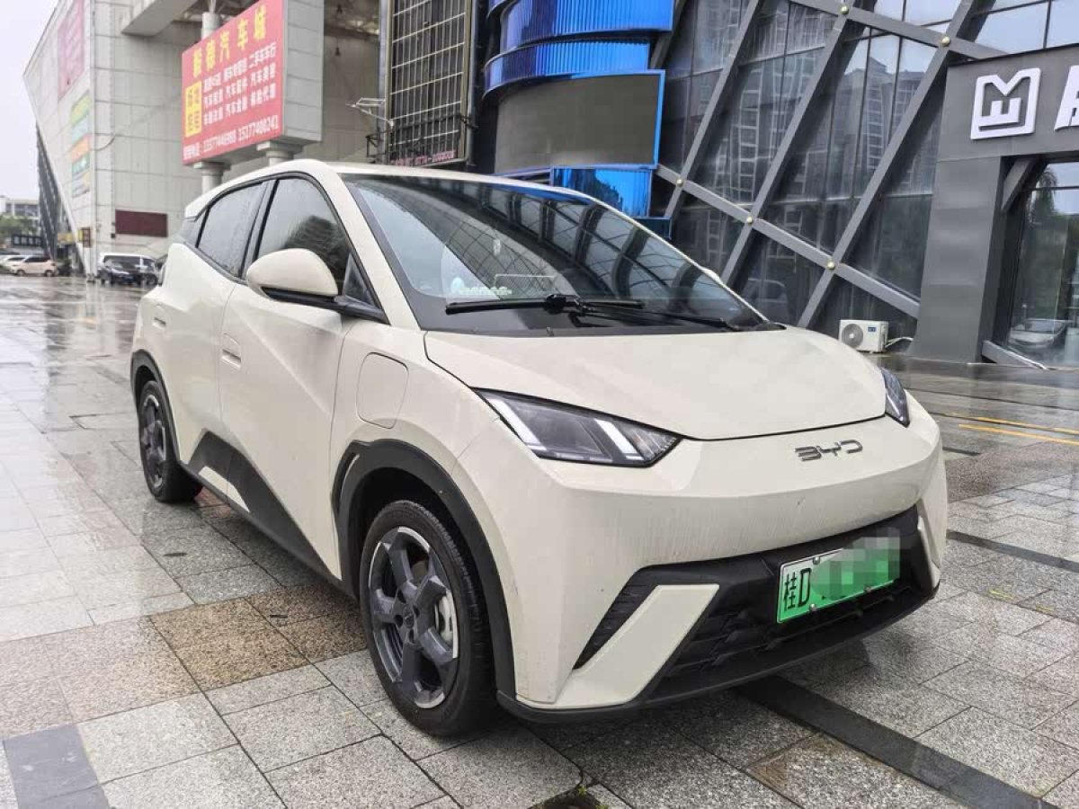 比亞迪 海鷗  2023款 自由版圖片