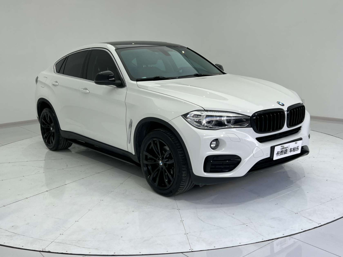 寶馬 寶馬X6  2018款 xDrive35i 領(lǐng)先型圖片