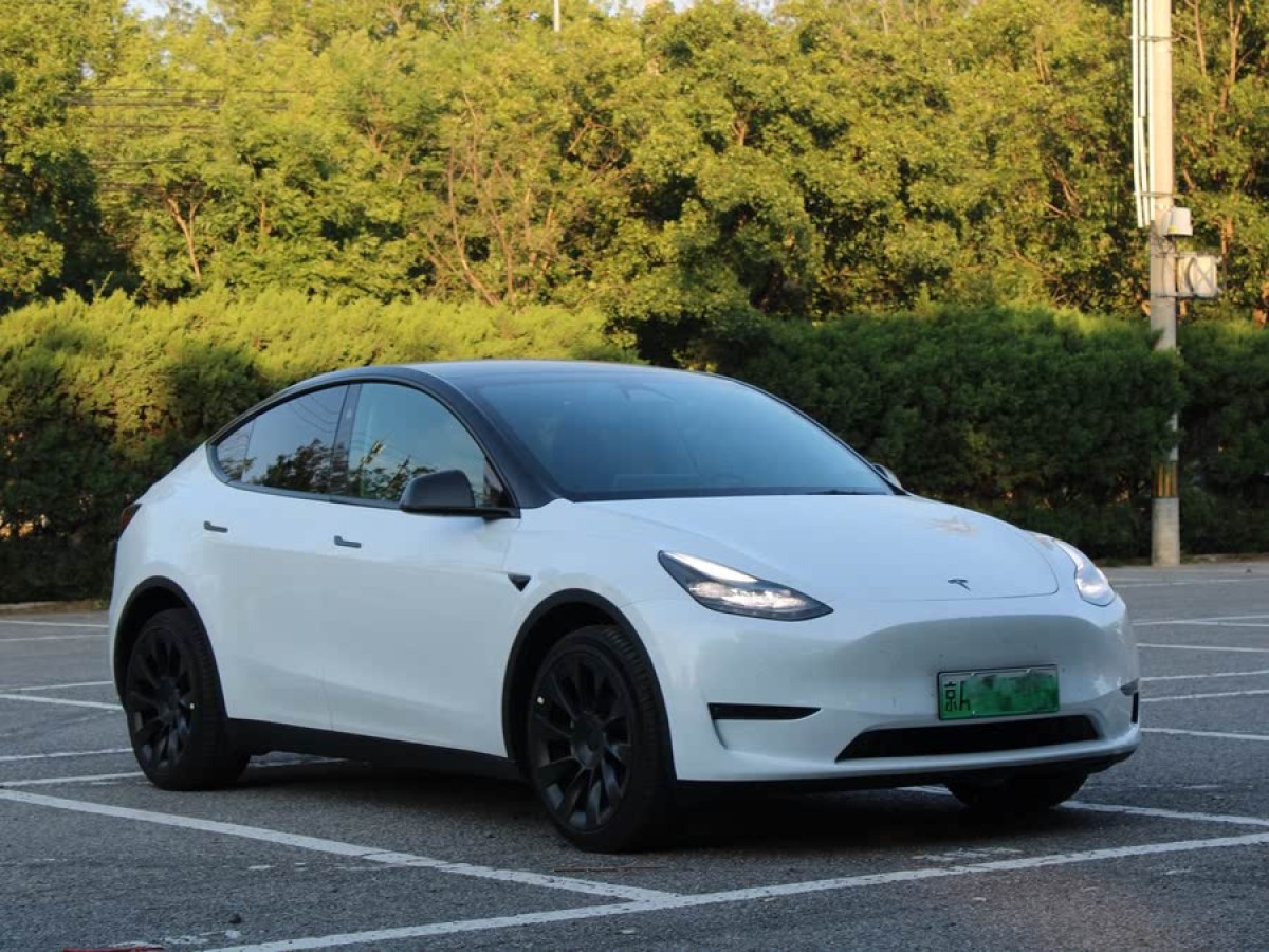 特斯拉 Model Y  2024款 長續(xù)航全輪驅動版圖片