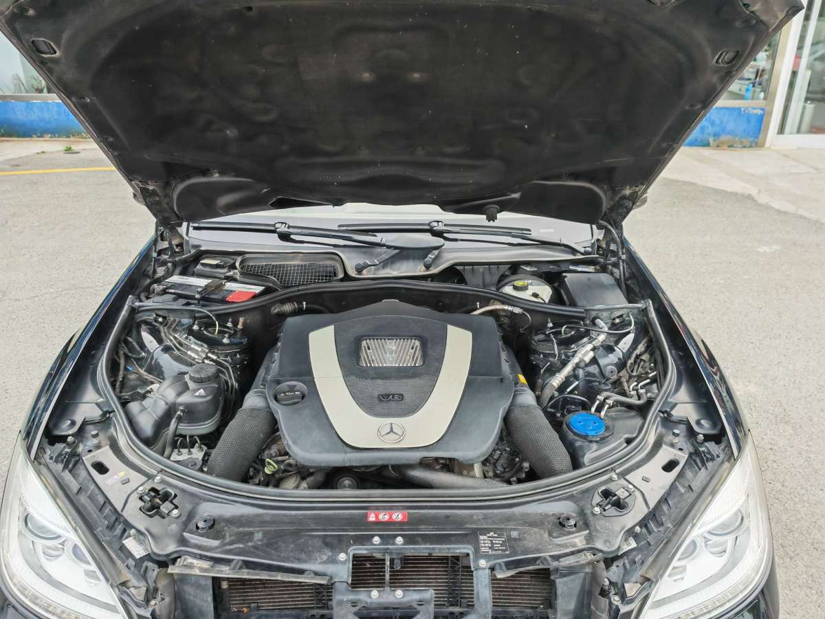 2011年03月奔驰 奔驰S级  2010款 S 300 L 商务型