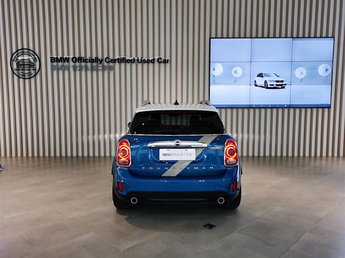 MINI COUNTRYMAN  2019款 2.0T COOPER S ALL4 藝術(shù)家圖片